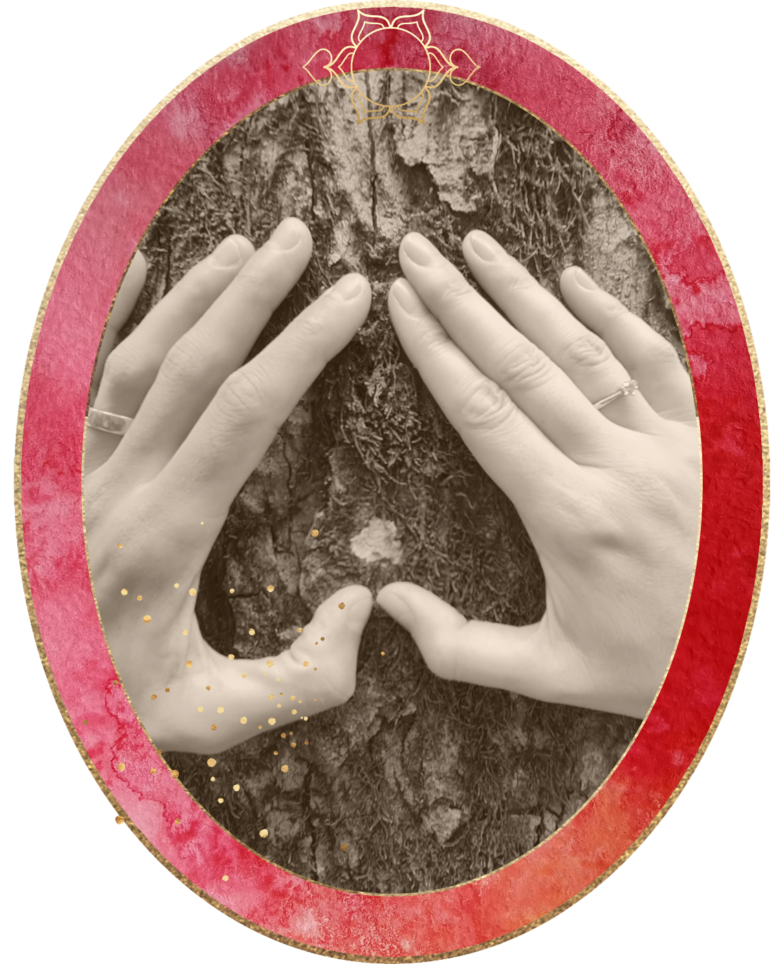 Singlecoaching für erfüllte Liebesbeziehung